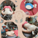 Enveloppement Minéral Rose Grenat